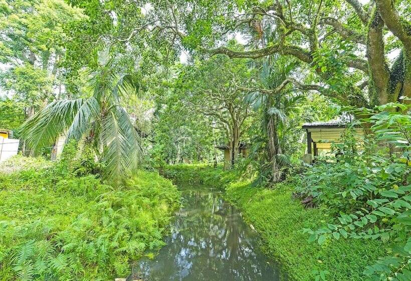 酒店 Oyo 90657 D Ambang Resort