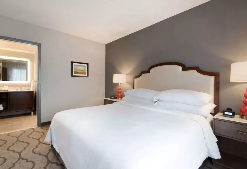 בית מלון כפרי Embassy Suites By Hilton Chicago Naperville
