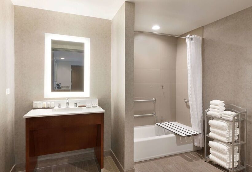 Отель Embassy Suites By Hilton Chicago Naperville