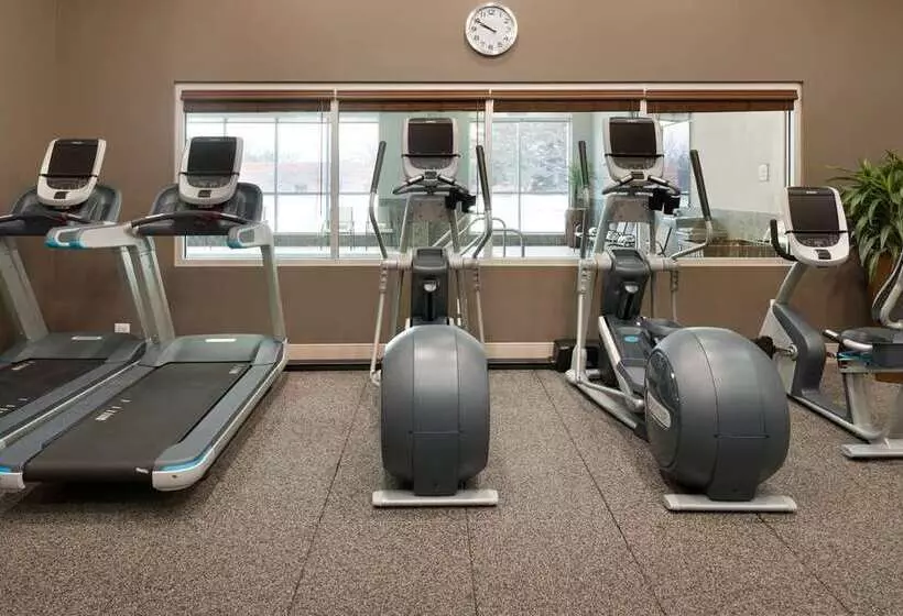 בית מלון כפרי Embassy Suites By Hilton Chicago Naperville