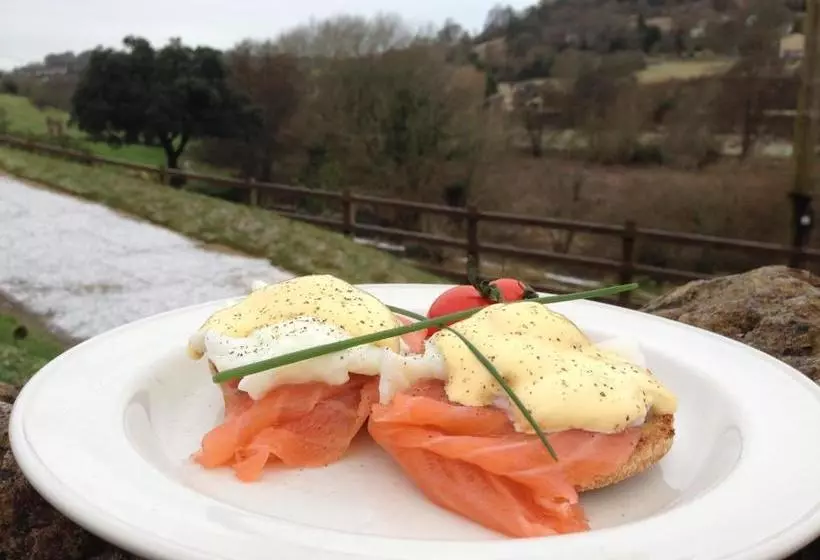 هتل روستایی Waterhouse Guest House