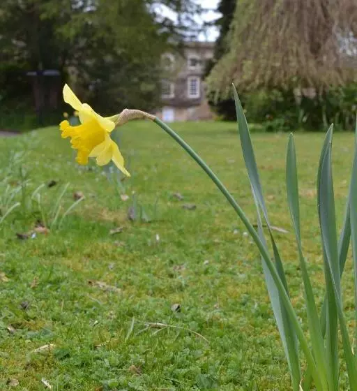 هتل روستایی Waterhouse Guest House