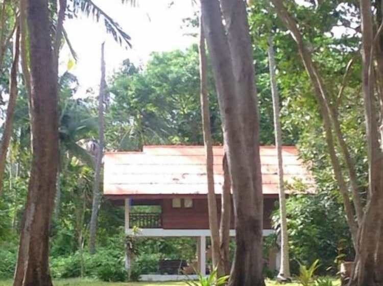 Joy Bungalow