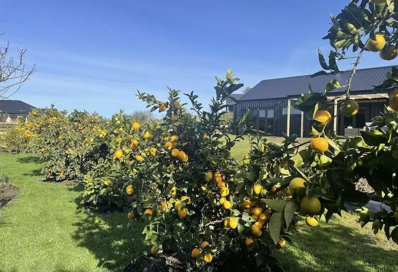 Aamiaismajoitus (B&B) Ballygelvar