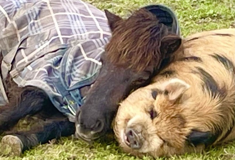 مبيت وإفطار Ballygelvar