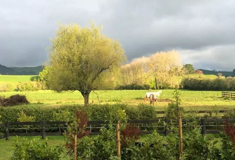 Aamiaismajoitus (B&B) Ballygelvar