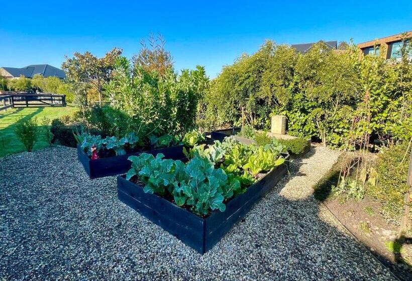 مبيت وإفطار Ballygelvar