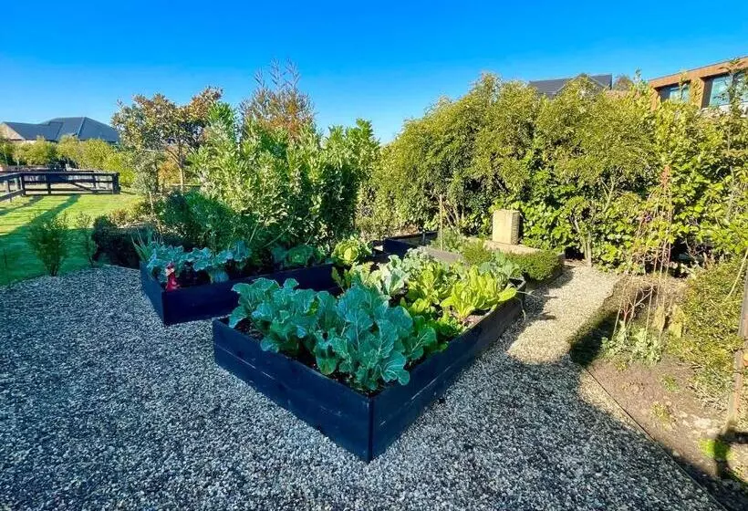 Aamiaismajoitus (B&B) Ballygelvar