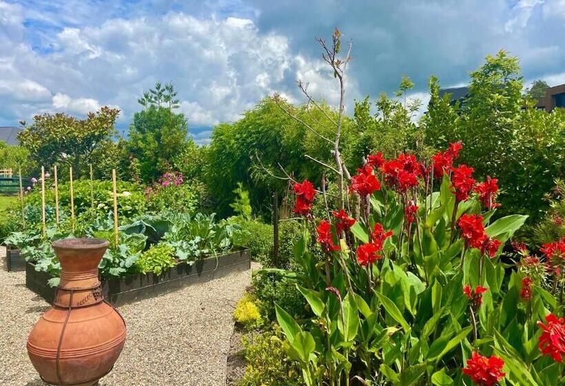 مبيت وإفطار Ballygelvar