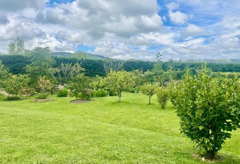 مبيت وإفطار Ballygelvar