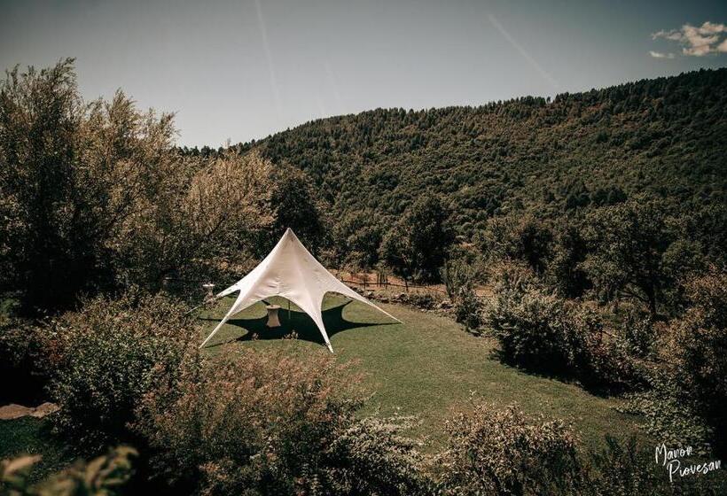 ベッドアンドブレックファースト Mas Nouveau Chambres D Hôtes