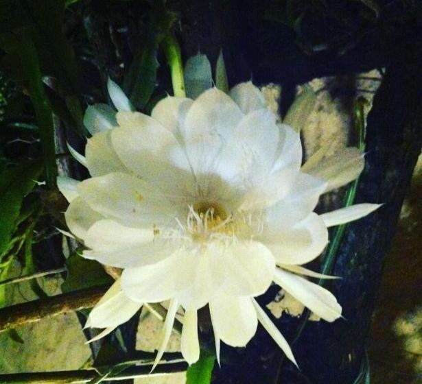 Hotel Pousada Boa Noite