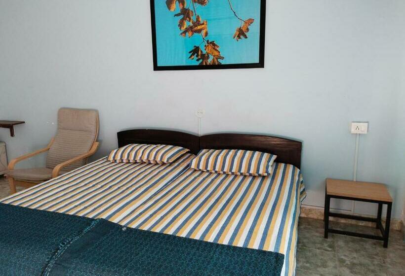 Pensionat Rosetta Guesthouse