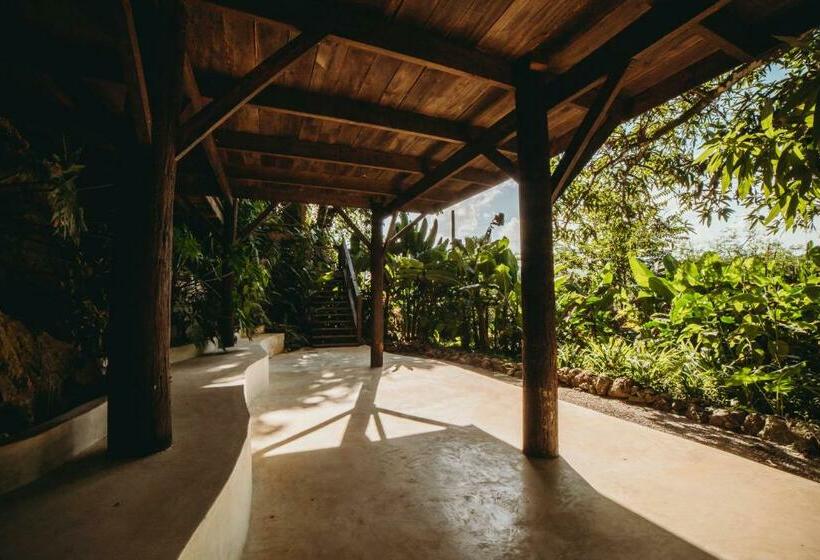 هتل Unique Exotic