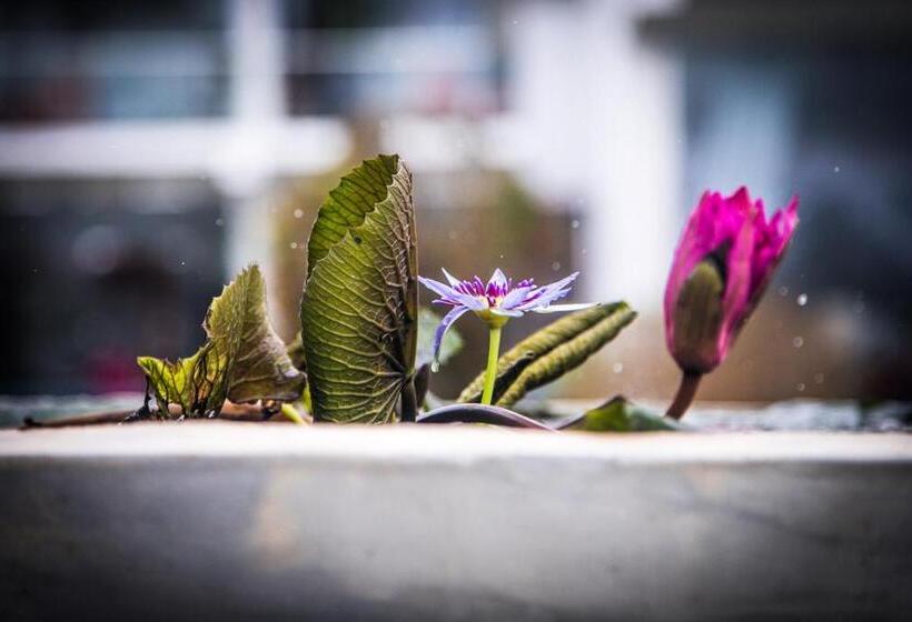 호텔 Infinity Of Sri Lanka