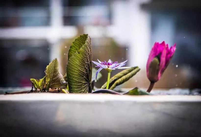 ホテル Infinity Of Sri Lanka