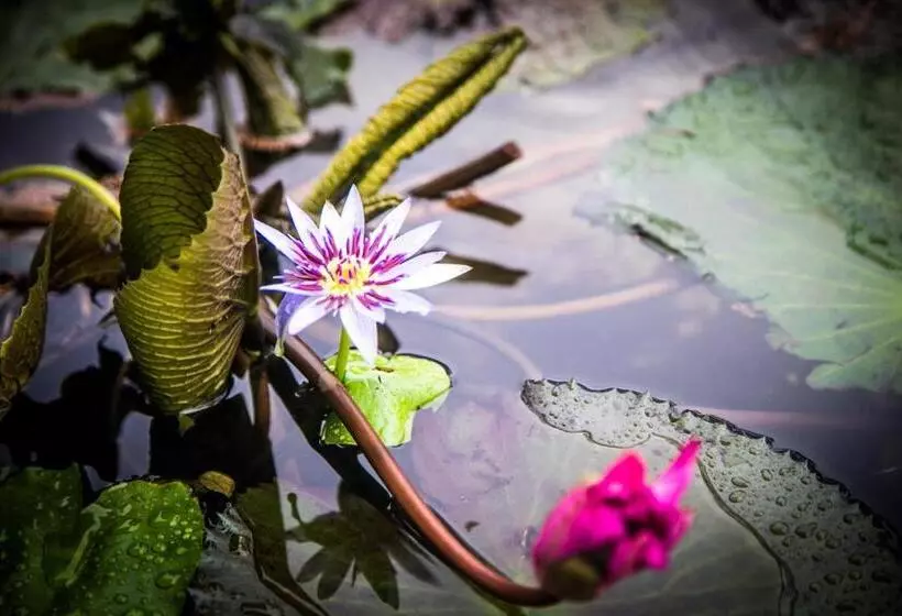 ホテル Infinity Of Sri Lanka