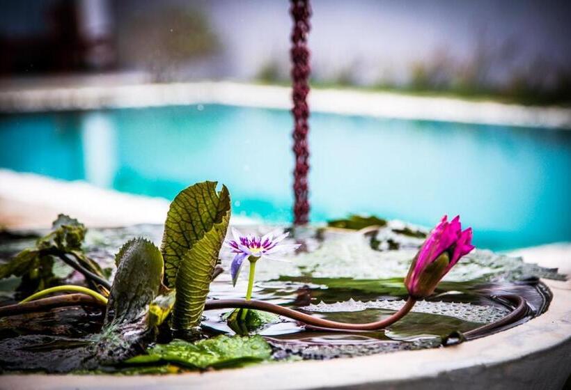 호텔 Infinity Of Sri Lanka