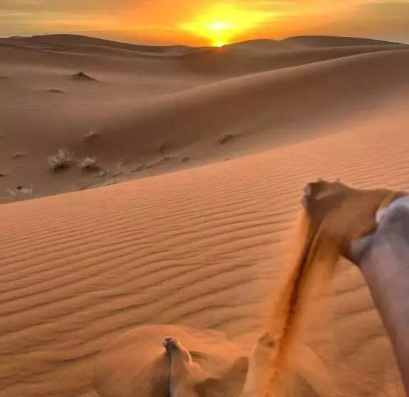 ベッドアンドブレックファースト Ksar Merzouga