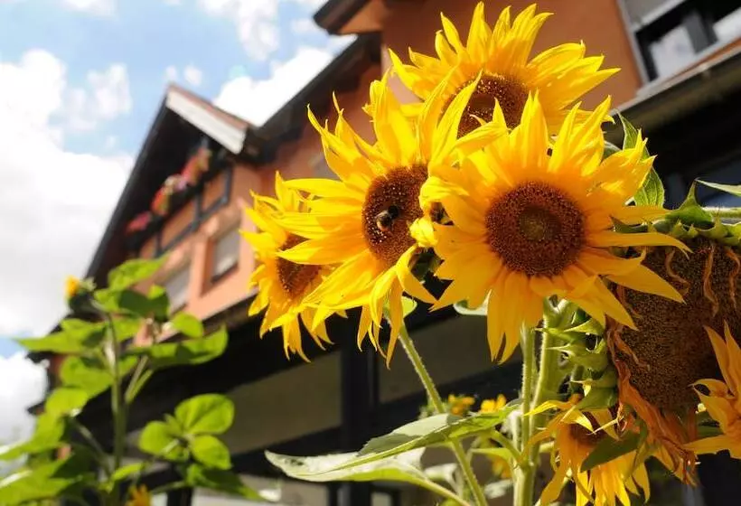 Bio Hotel Bayerischer Wirt Augsburg