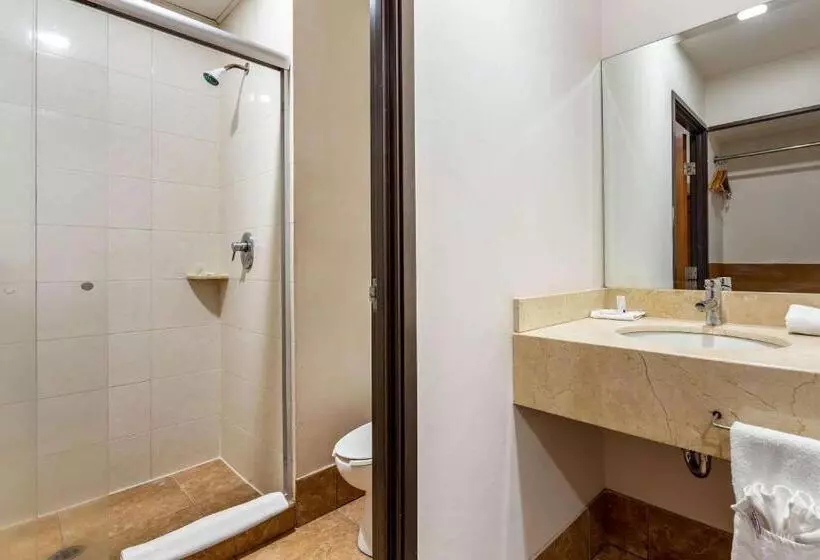 هتل Comfort Inn Chihuahua