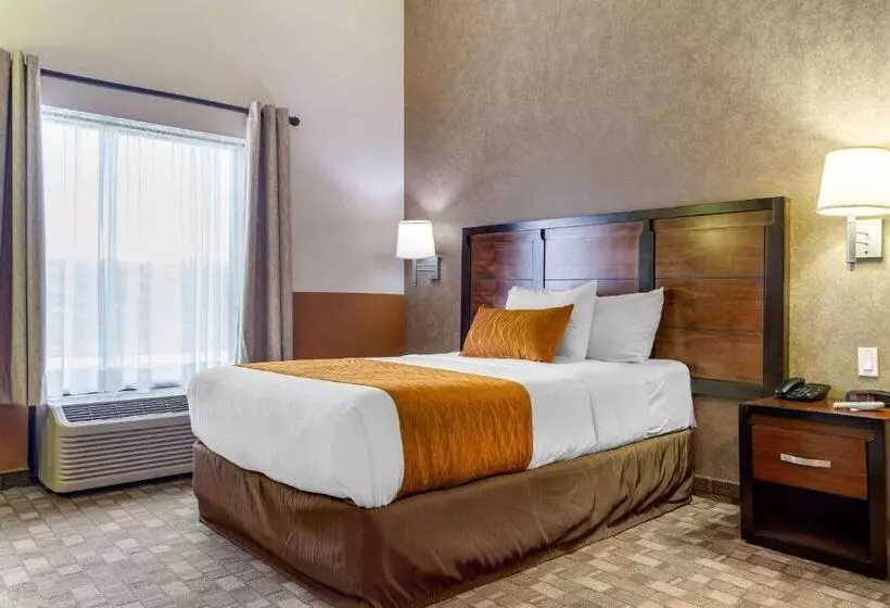هتل Comfort Inn Chihuahua