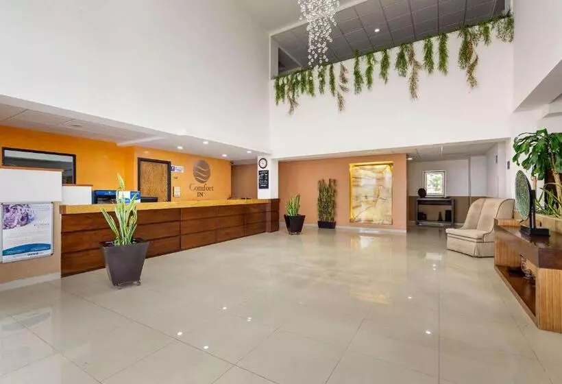 هتل Comfort Inn Chihuahua