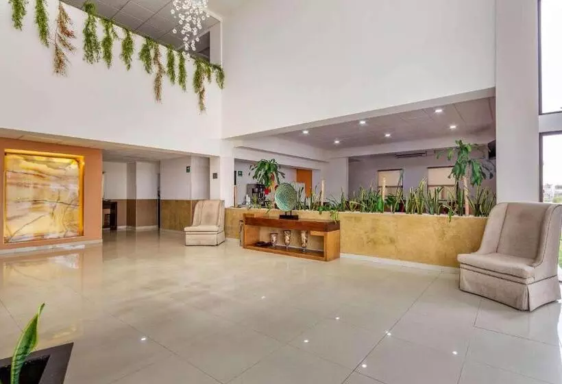 هتل Comfort Inn Chihuahua