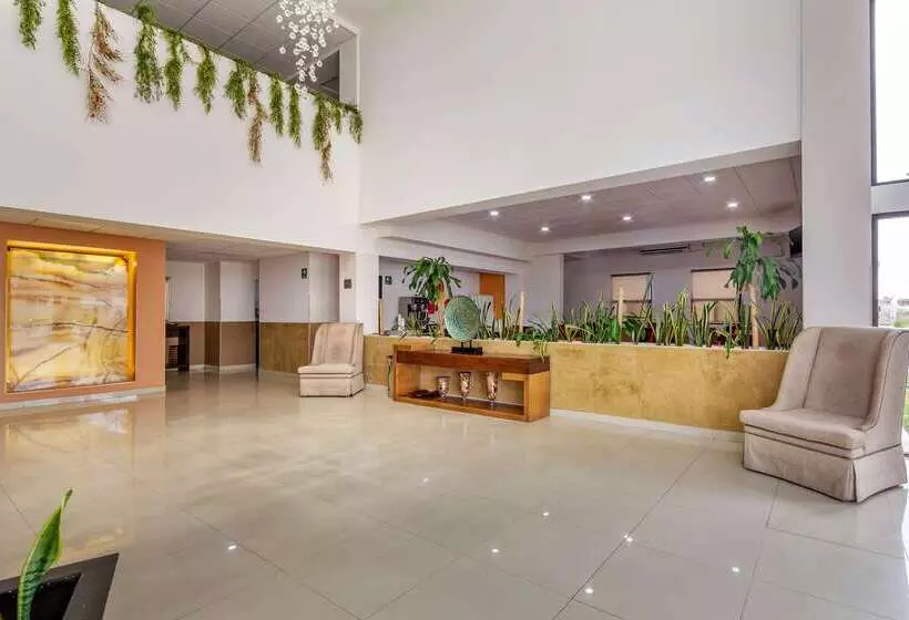 هتل Comfort Inn Chihuahua