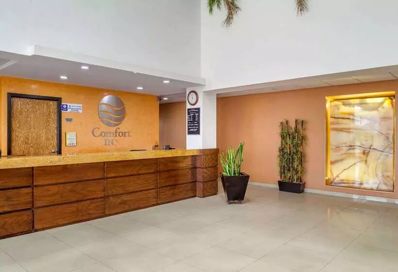 هتل Comfort Inn Chihuahua