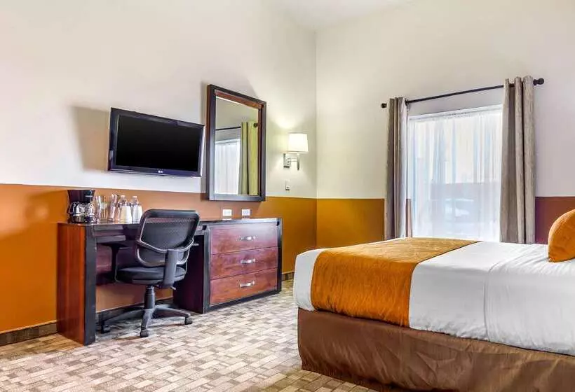 هتل Comfort Inn Chihuahua