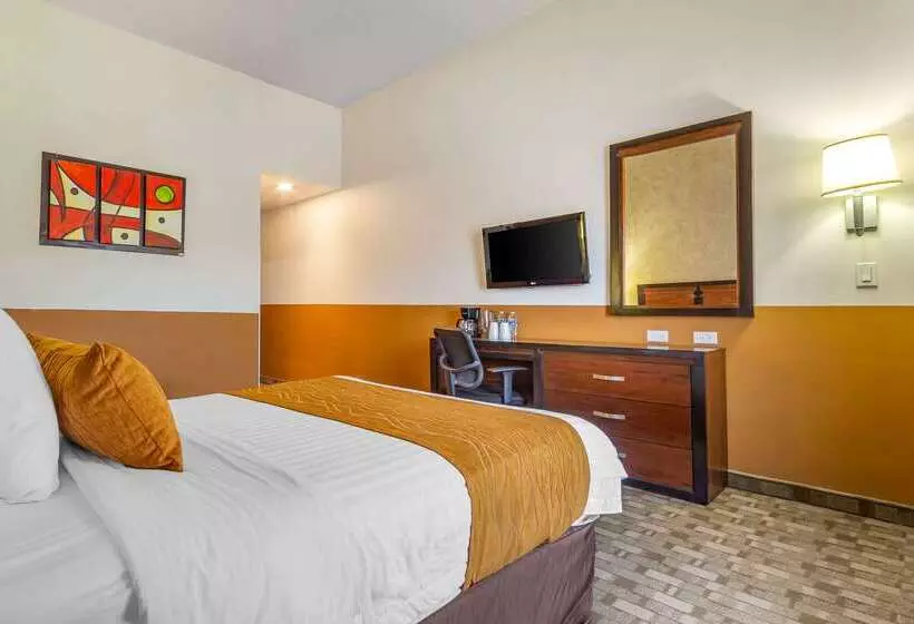 هتل Comfort Inn Chihuahua