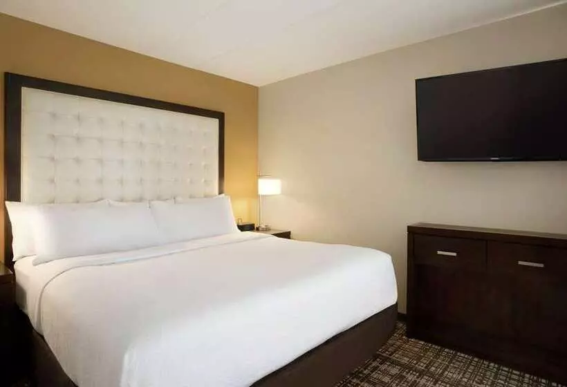 ホテル Embassy Suites Oklahoma City Downtown/medical Center