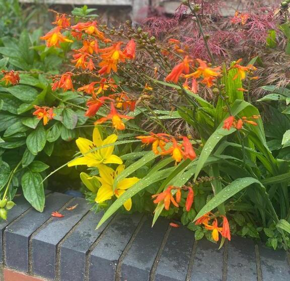 فندق Norfolk Guest House