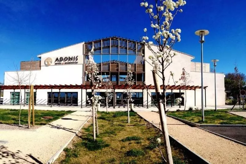 Hotel Adonis Aix En Provence