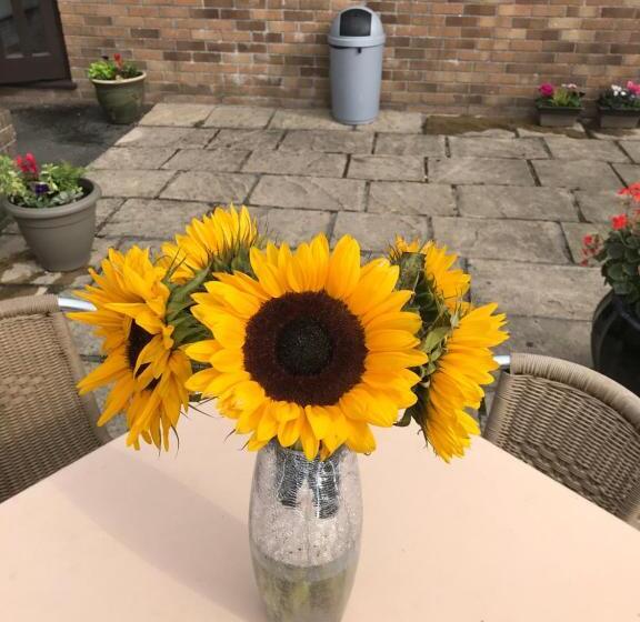 酒店 Smithaleigh Farm Rooms And Apartments