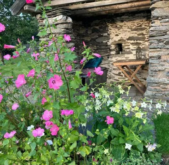 تختخواب و صبحانه Hares Hideaway At Coed Moelfa