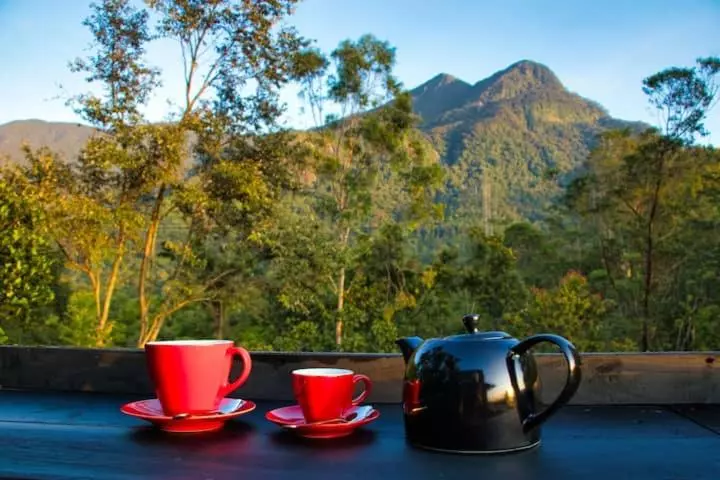 Hotelli The Backyard Balangoda