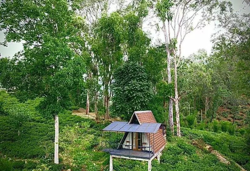 Hotelli The Backyard Balangoda