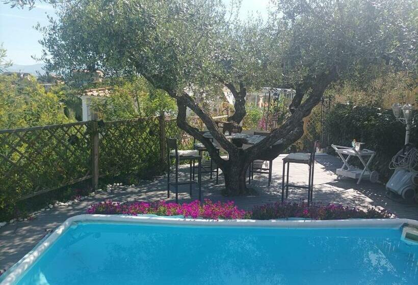 פנסיון Homart Roof Roman King