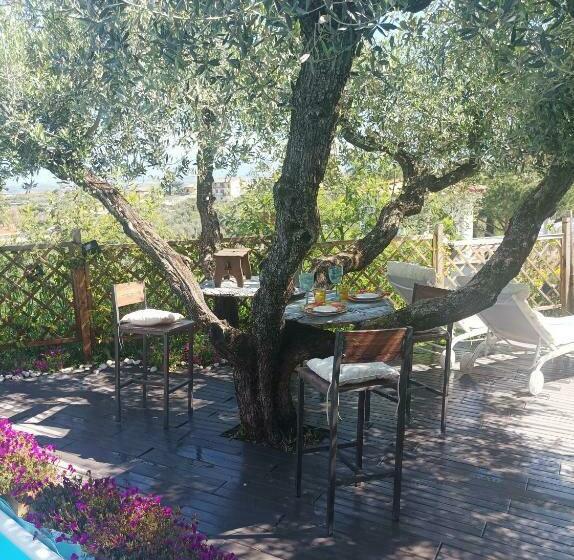 פנסיון Homart Roof Roman King