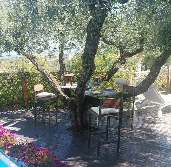 Majatalo Homart Roof Roman King