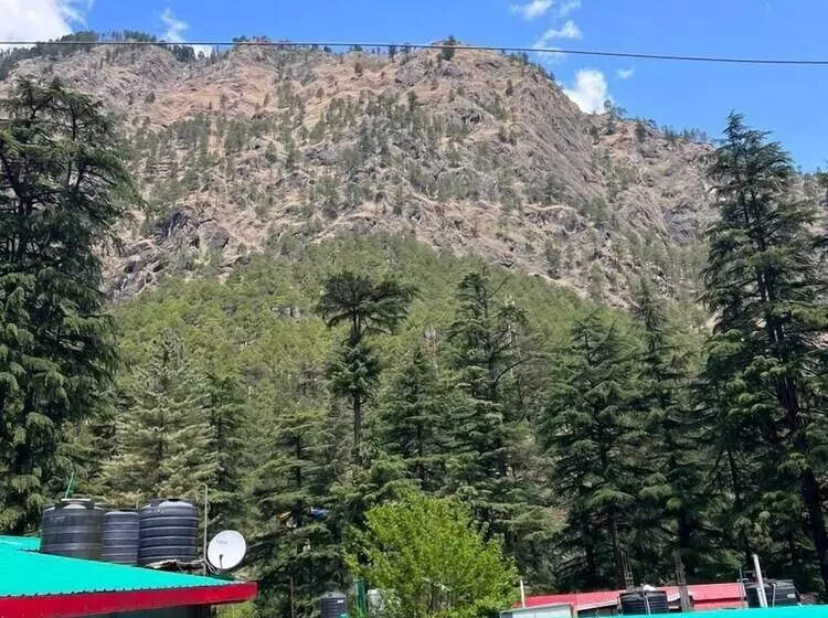 ホテル Little Italy Inn