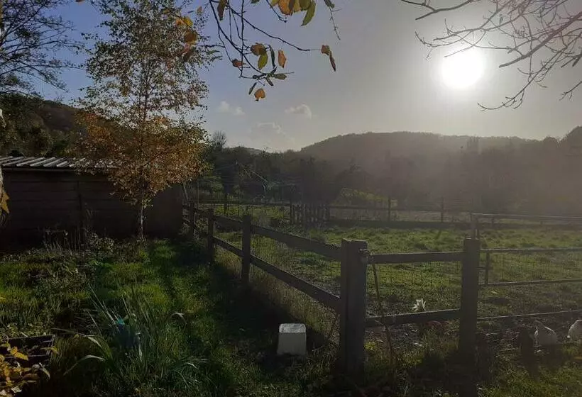 ペンション Maison D Hôtes Indépendante à La Campagne