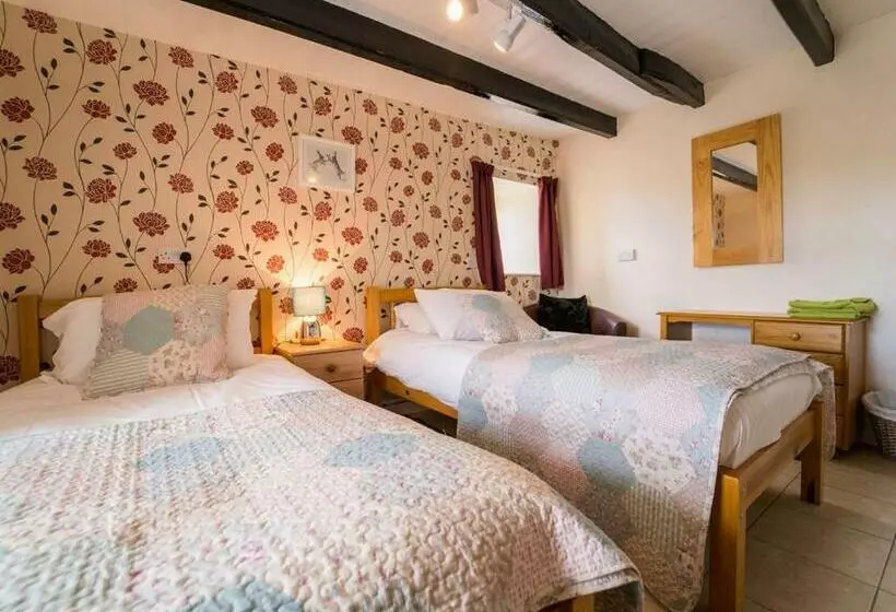 Lomakeskus Amroth Castle Holiday Park