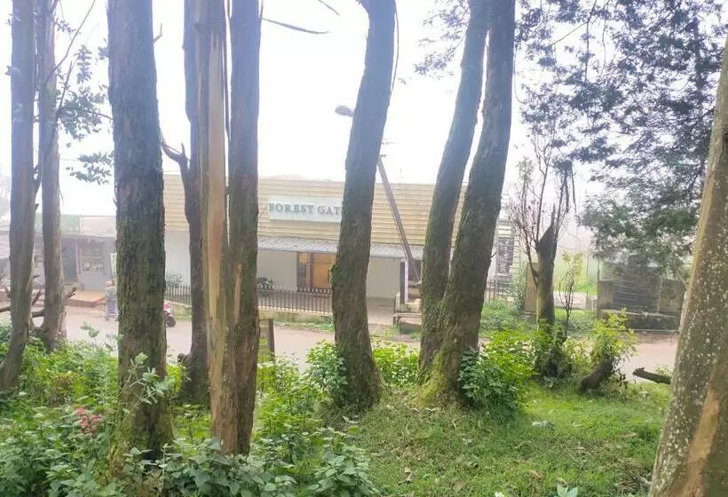 Resort Forest Gate