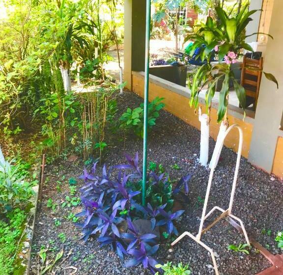 Hostel Tres Fronteras