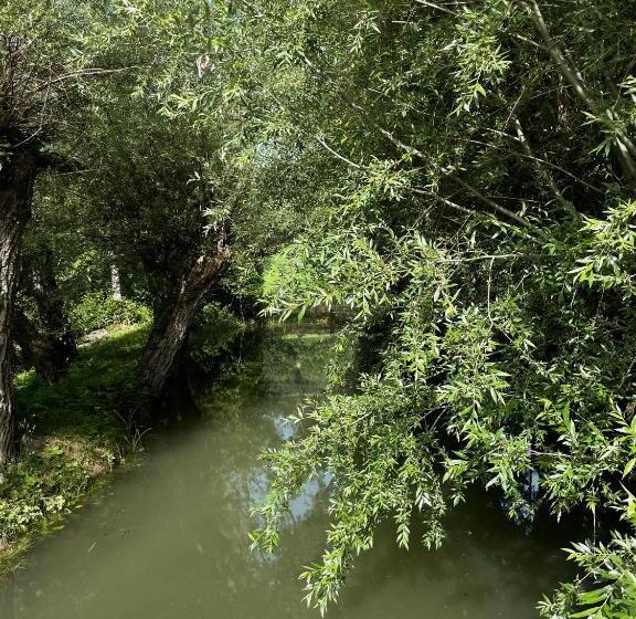 민박 Le Farine Del Maestro