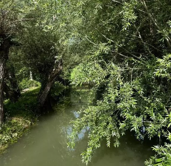 ベッドアンドブレックファースト Le Farine Del Maestro