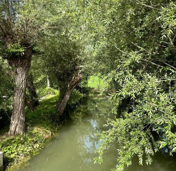 민박 Le Farine Del Maestro